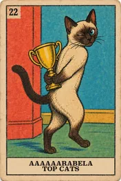 Carta de Joa
